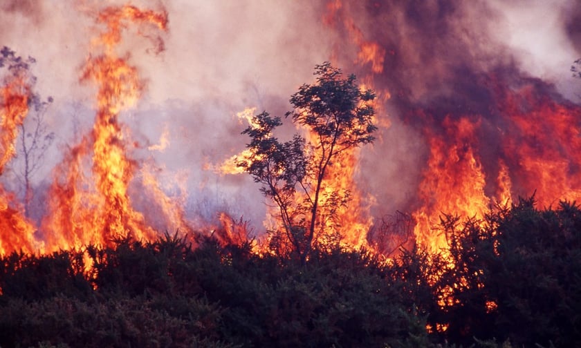 From California to Canada – wildfire risks spreading