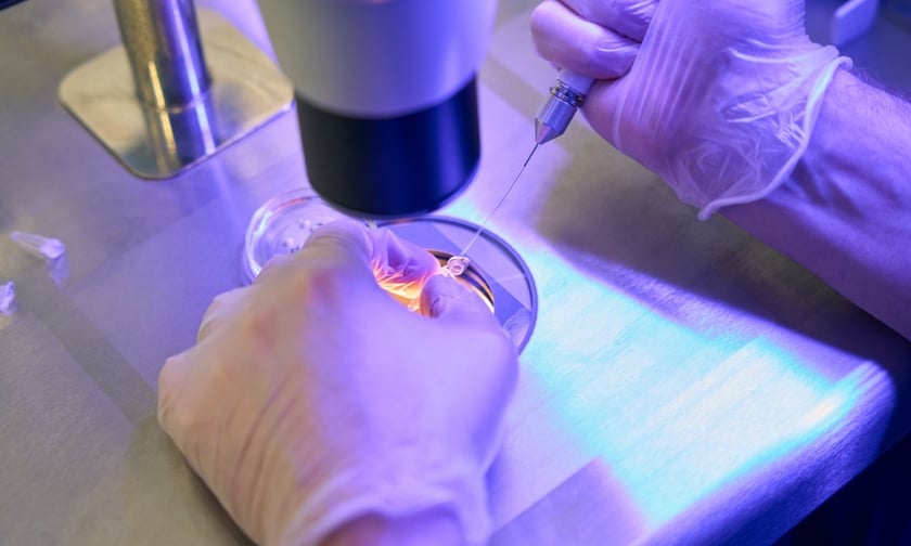 Senate Republicans block legislation to guarantee women's rights to IVF